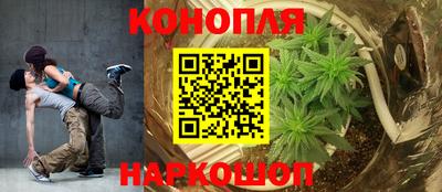 прущие крисы Будённовск