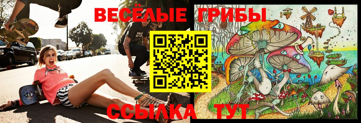 Галлюциногенные грибы Psilocybine cubensis  Вход с VPN  Острогожск 